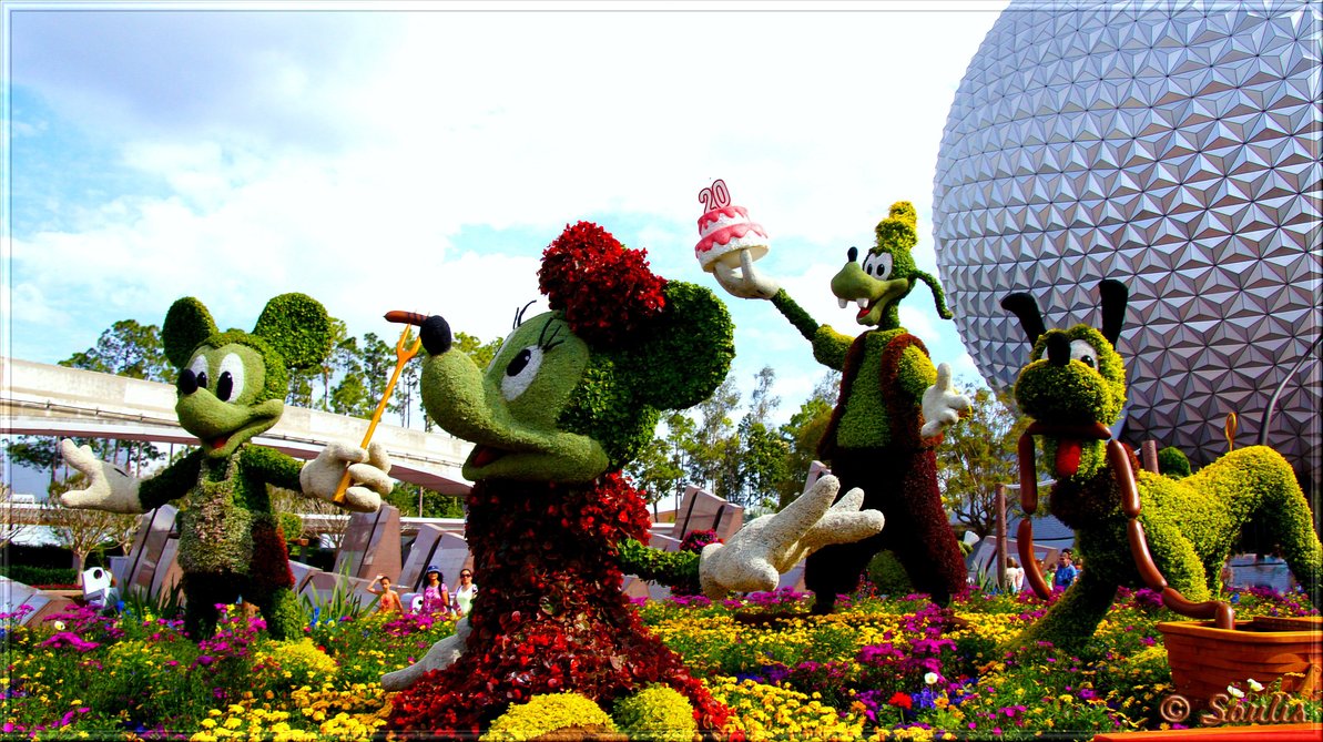 Epcot Flower Exhibition